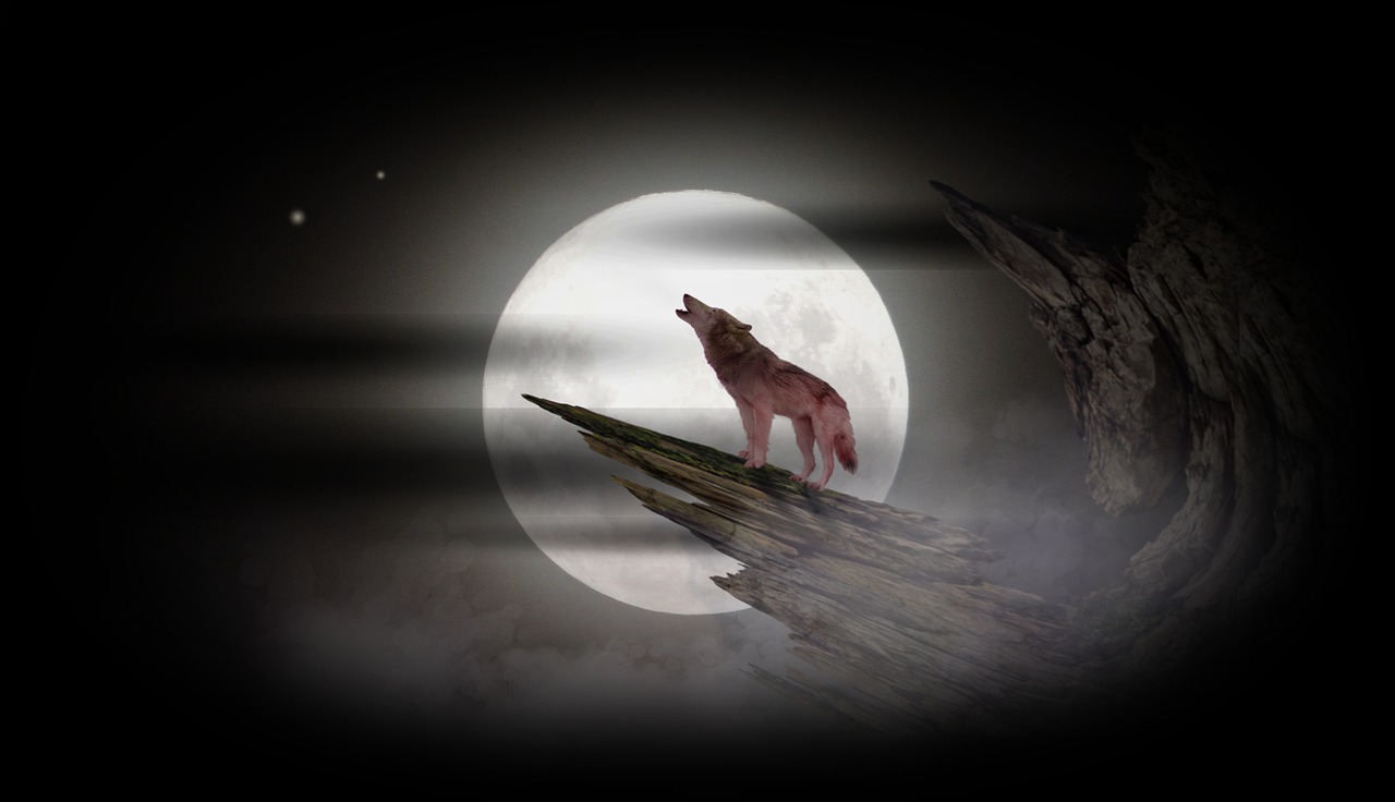 Red Moon Wolf Wallpapers