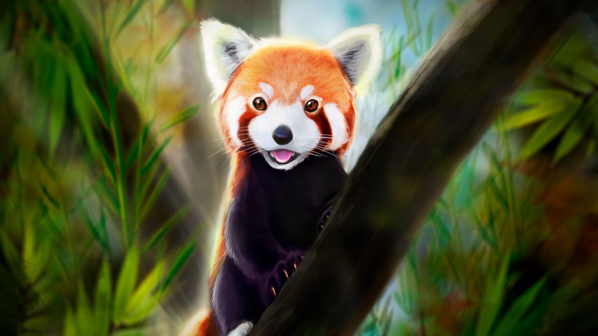 Red Panda Background