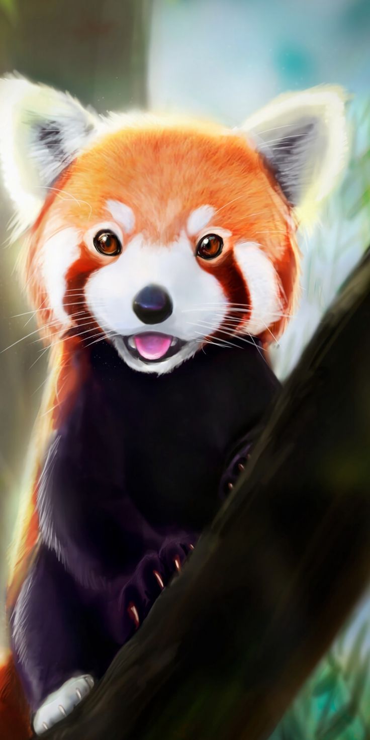 Red Panda Kawaii Wallpapers