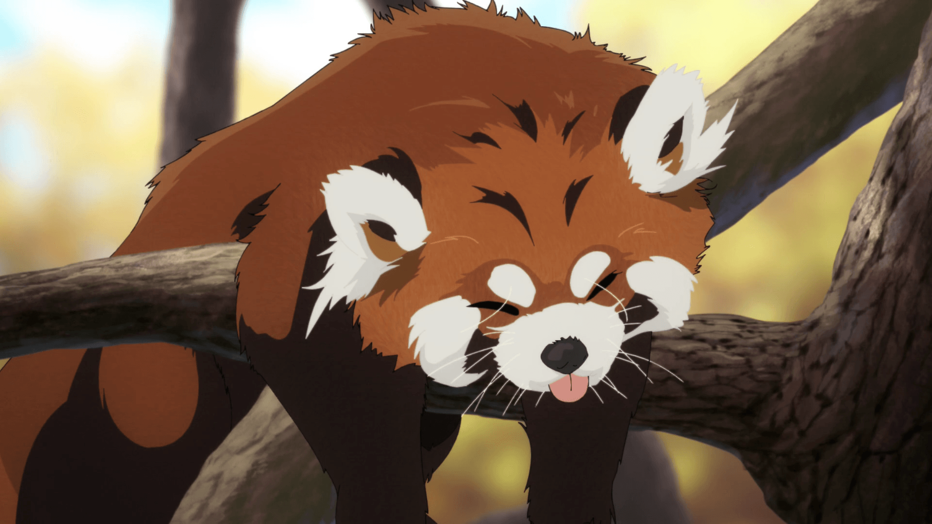 Red Panda Kawaii Wallpapers