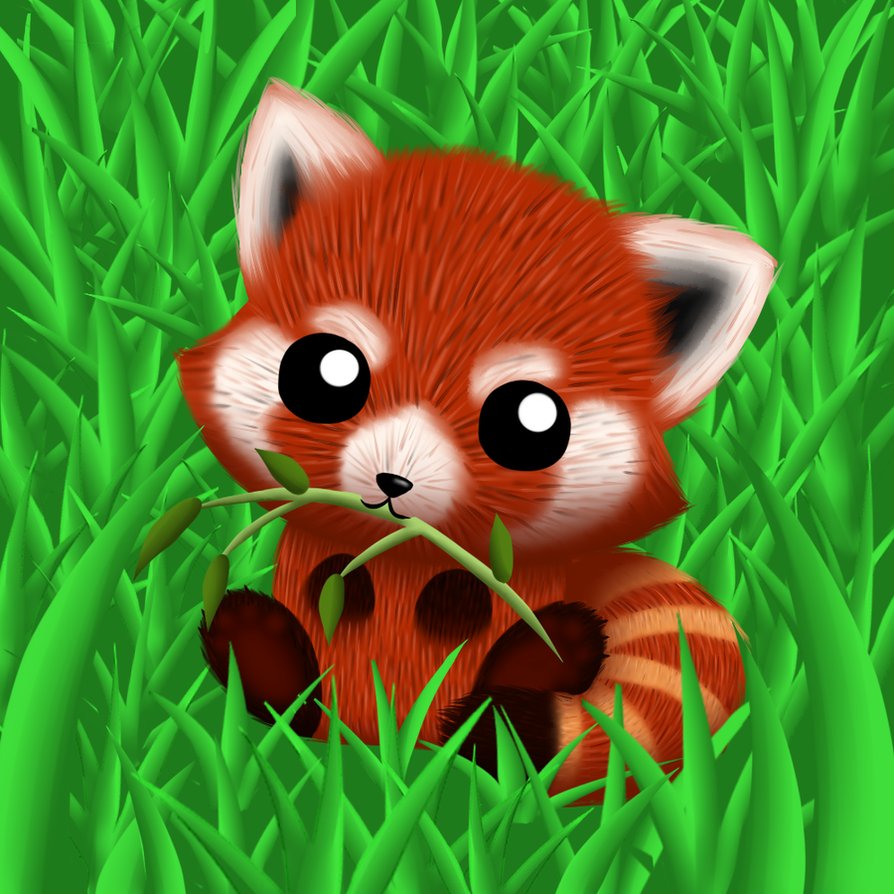 Red Panda Kawaii Wallpapers