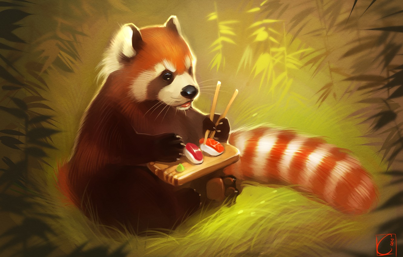 Red Panda Wallpapers