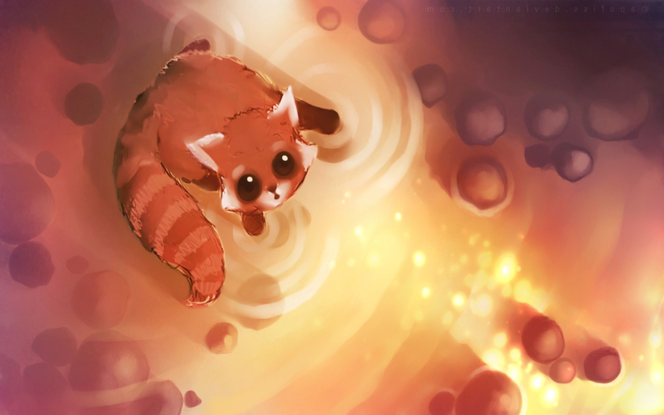 Red Panda Wallpapers