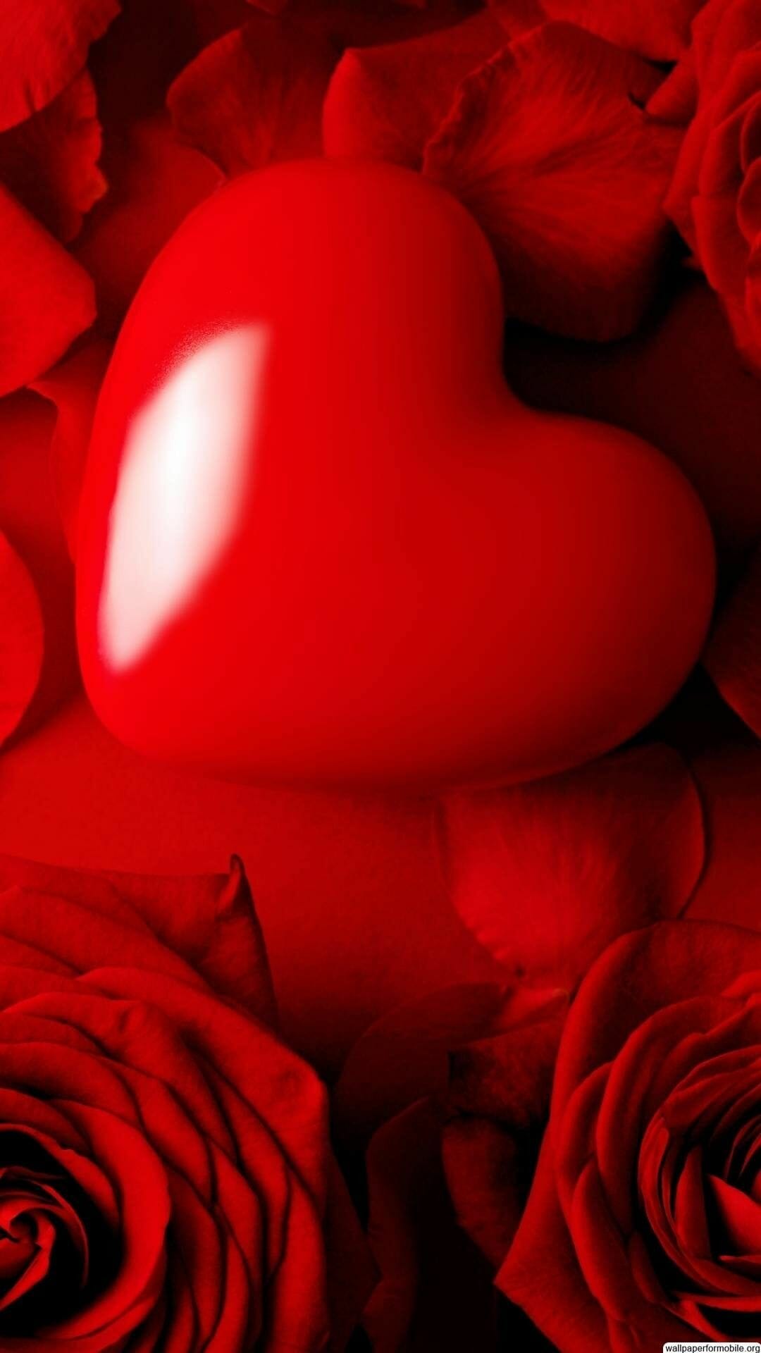 Red Rose 4K Wallpapers