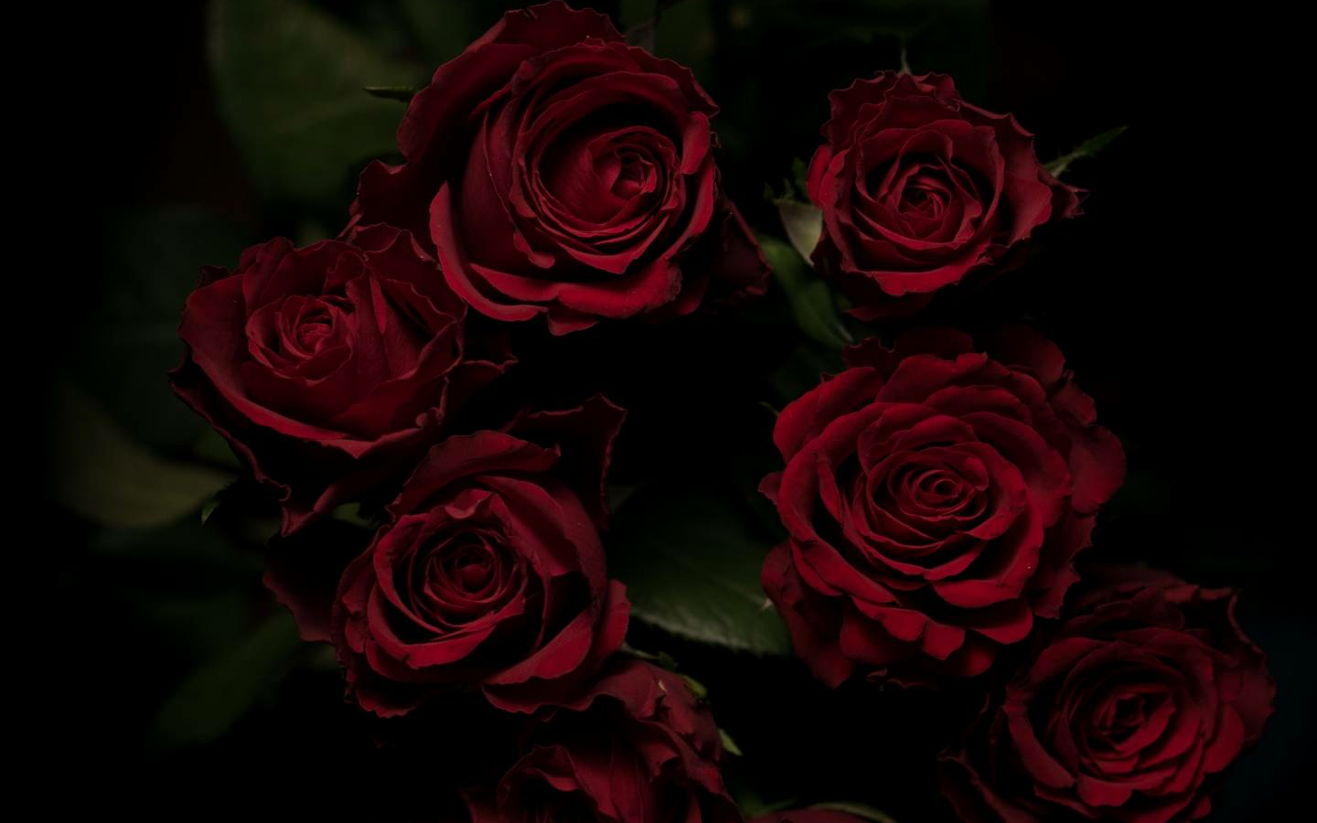 Red Rose Aesthetic Computer Wallpapers