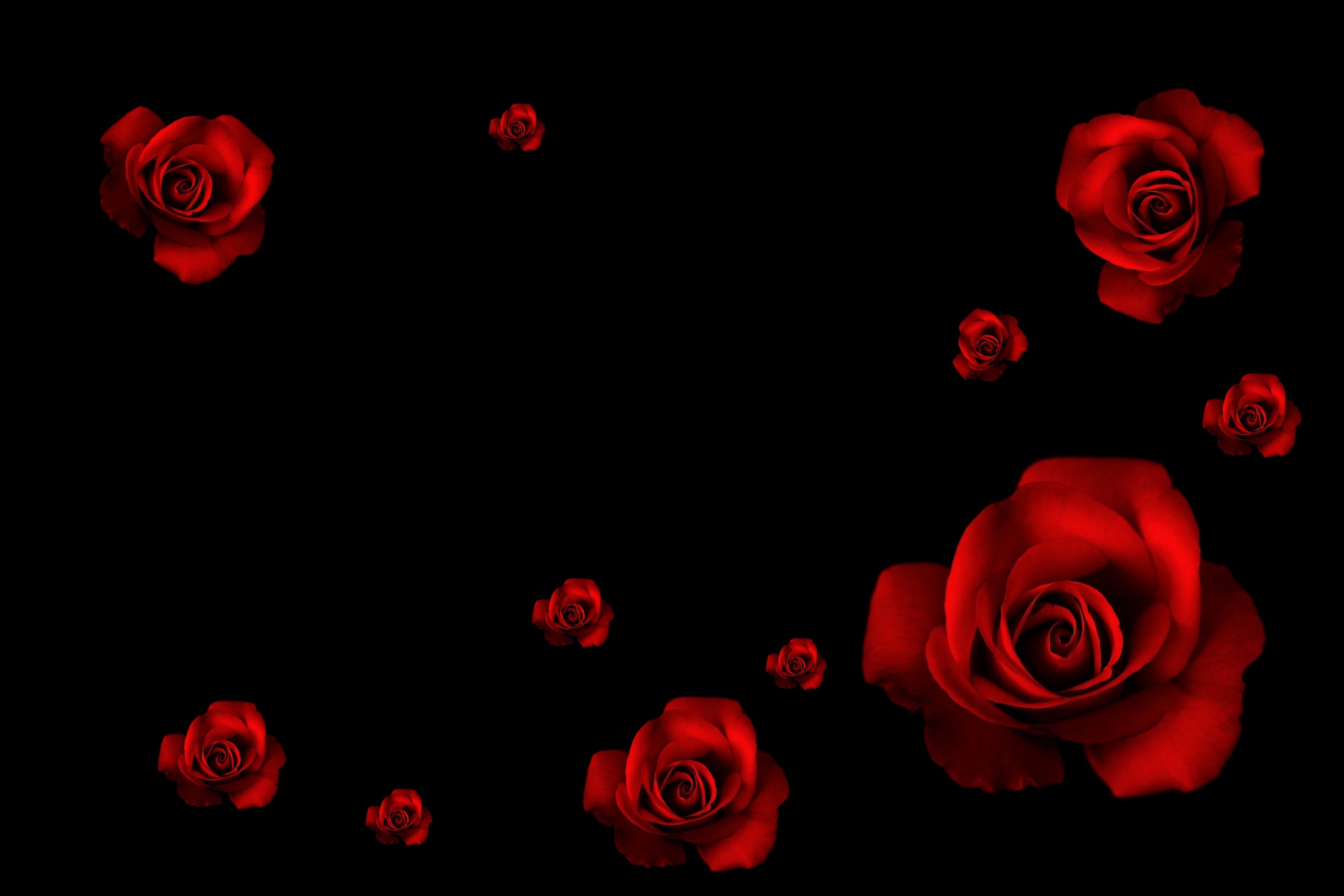 Red Rose Aesthetic Computer Wallpapers