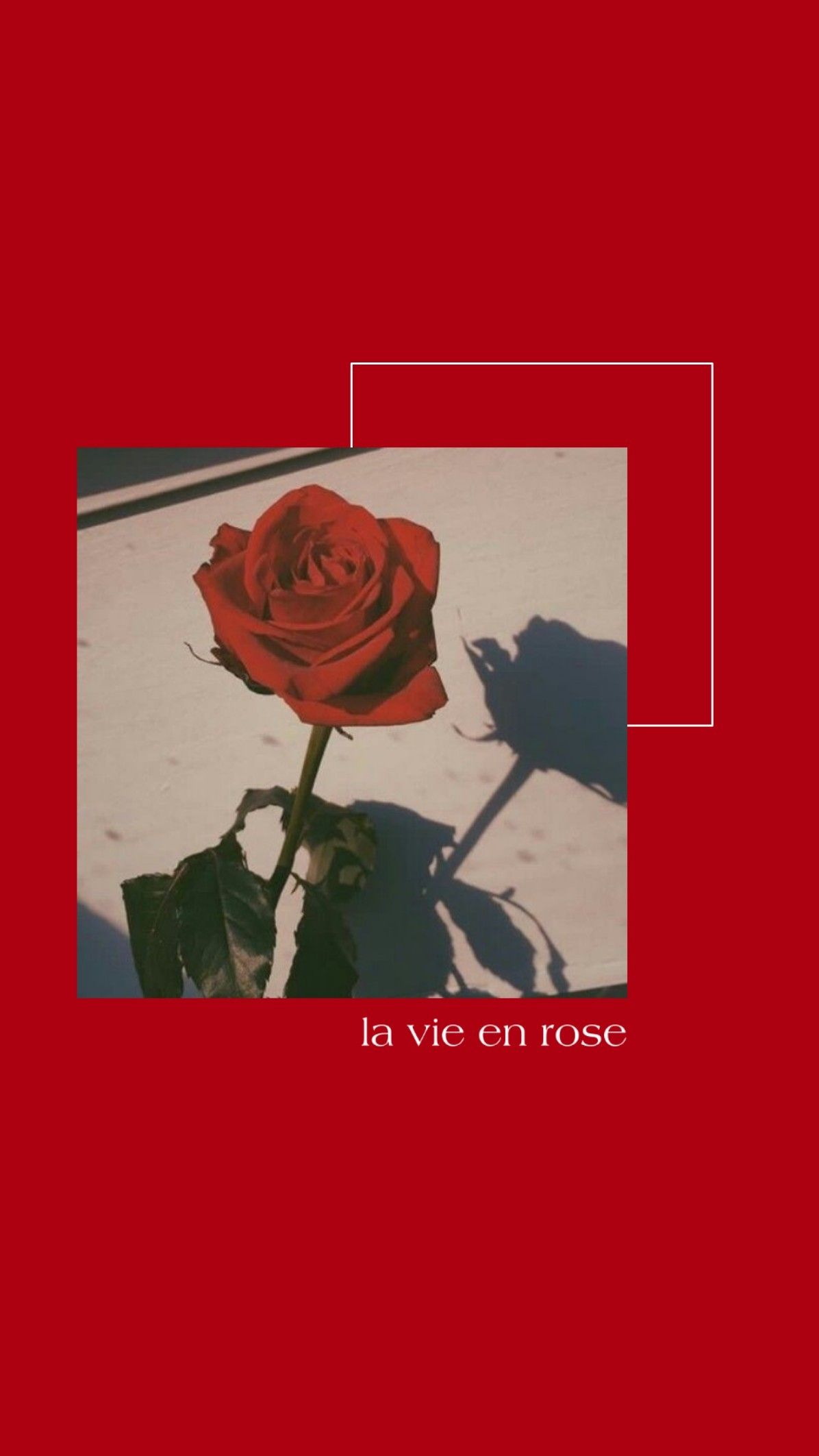 Red Rose Aesthetic Computer Wallpapers