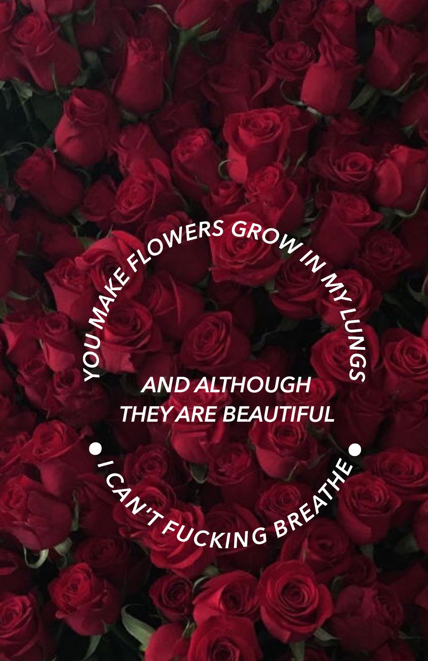 Red Rose Aesthetic Computer Wallpapers