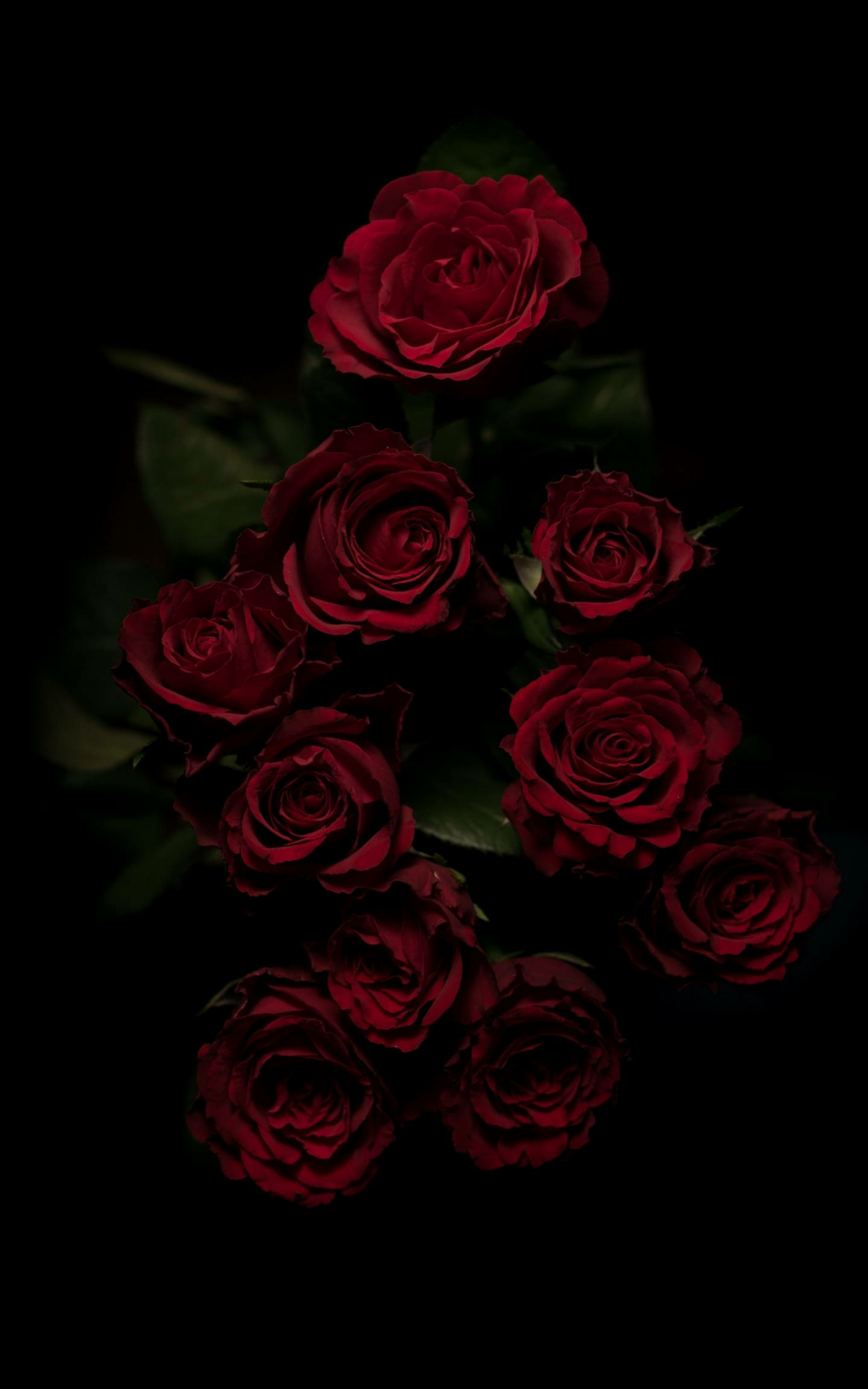 Red Rose Aesthetic Computer Wallpapers