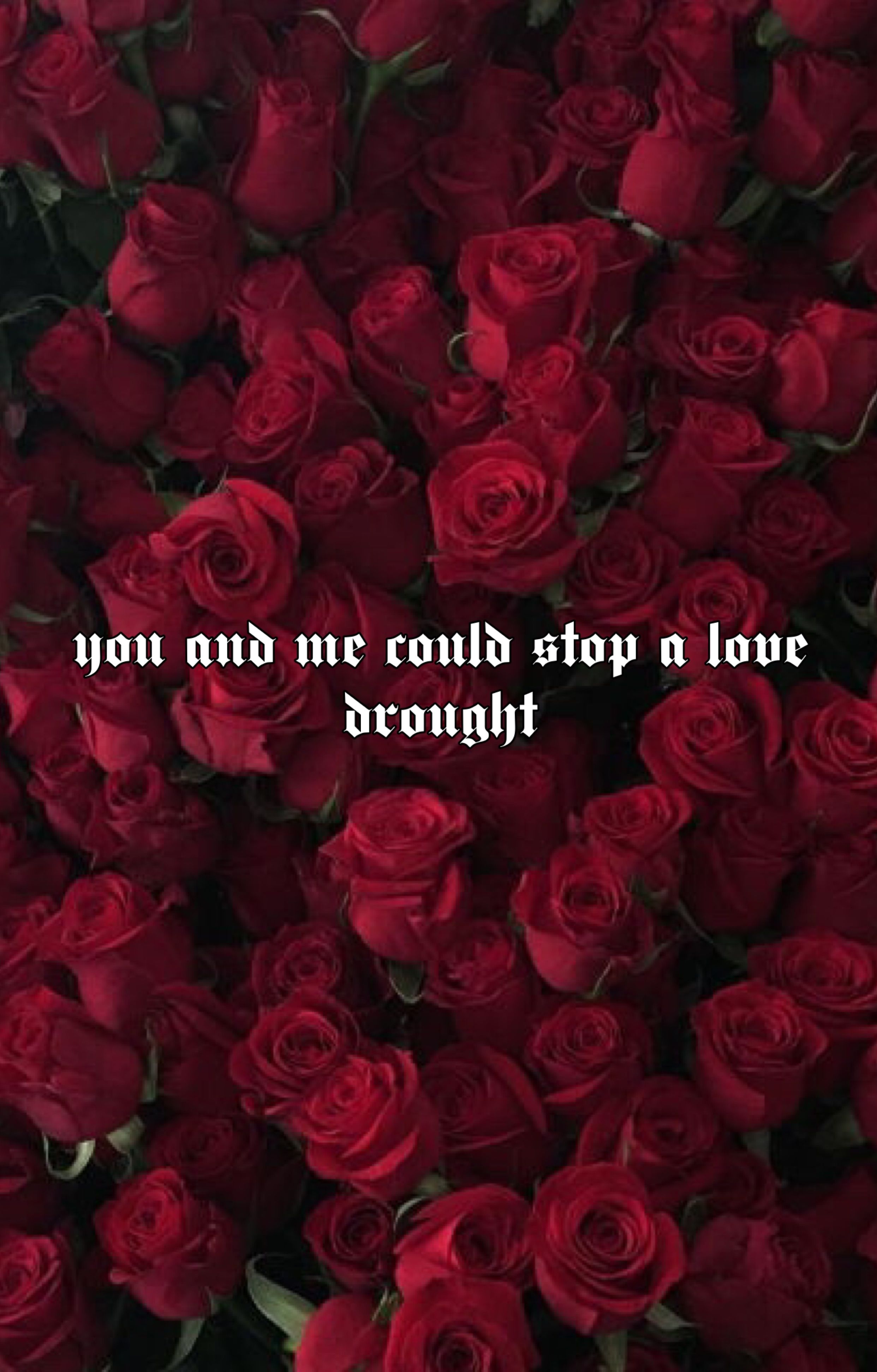 Red Rose Aesthetic Computer Wallpapers