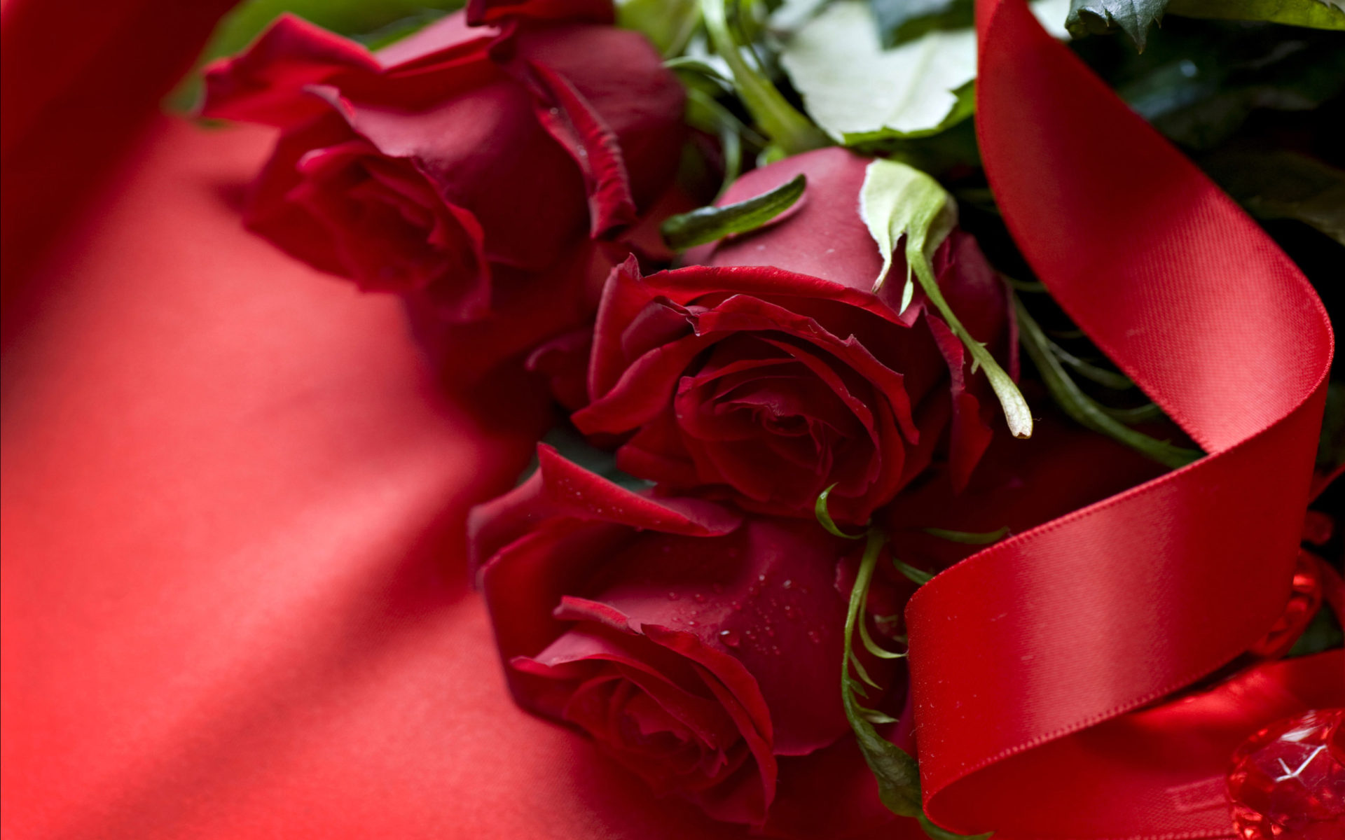 Red Rose Flower Wallpapers