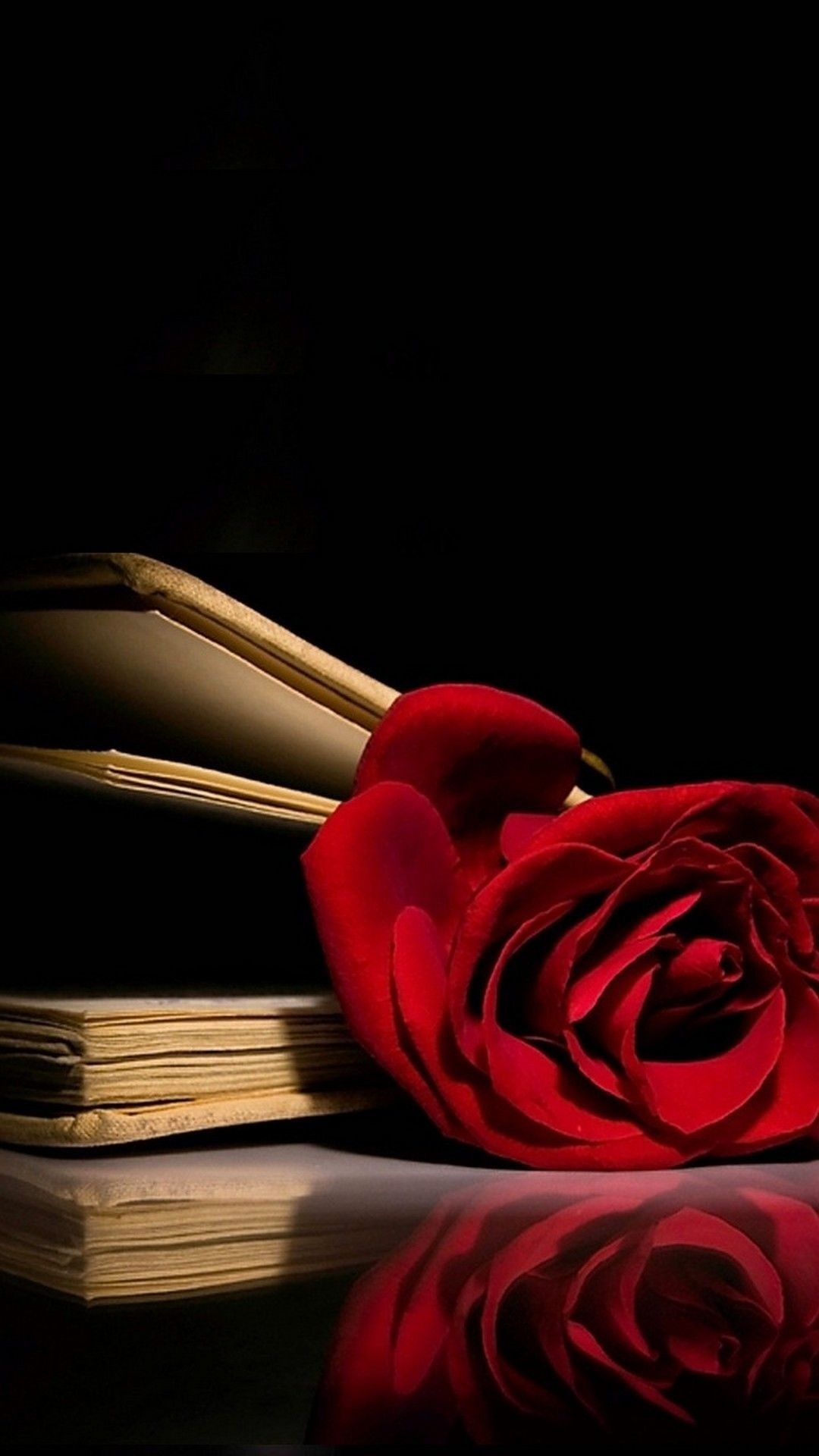 Red Rose Phone Wallpapers