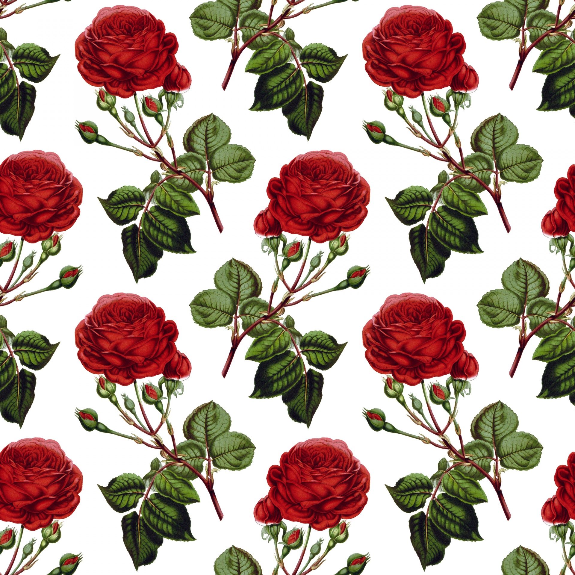 Red Rose Vintage Wallpapers