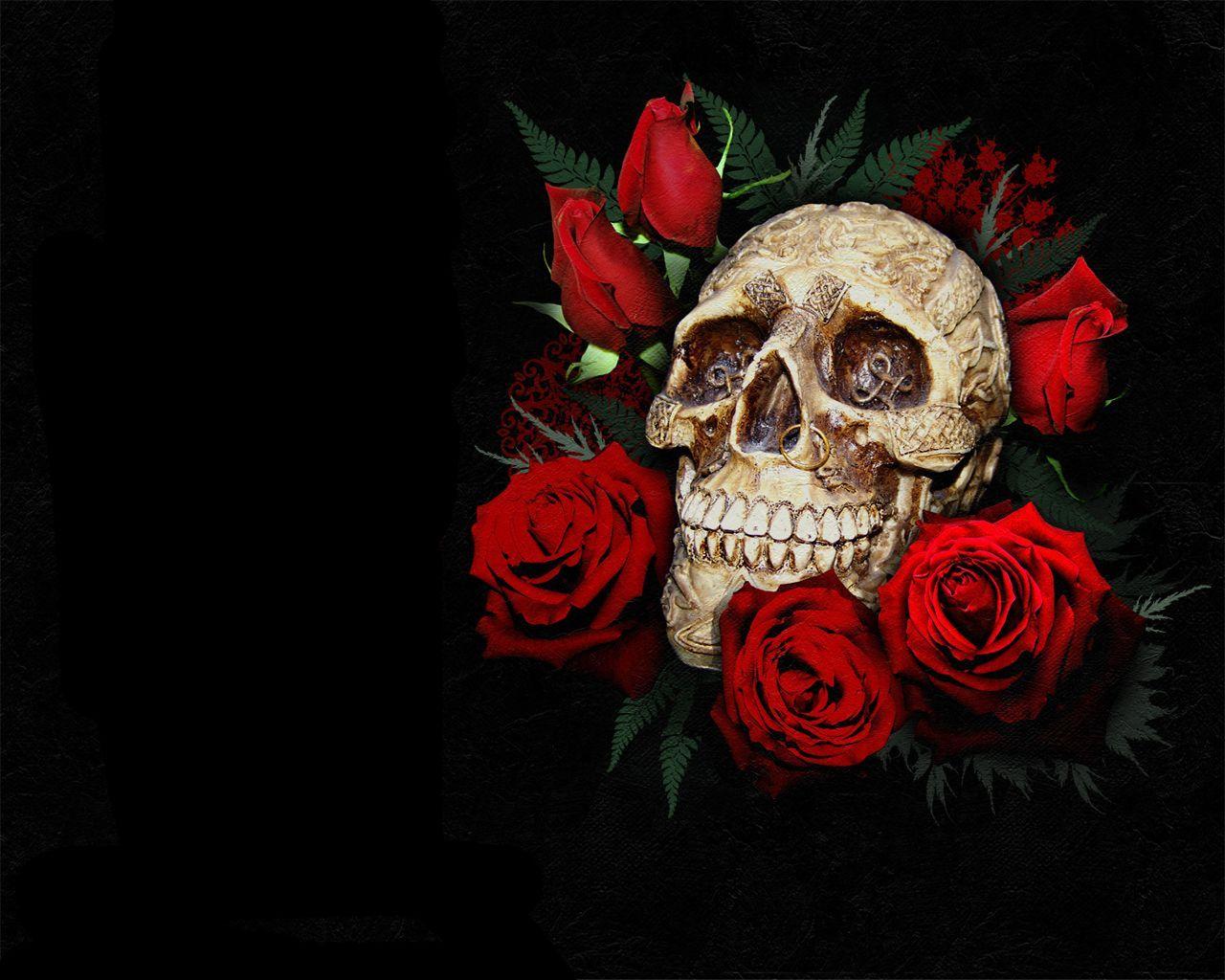 Red Roses Art Wallpapers