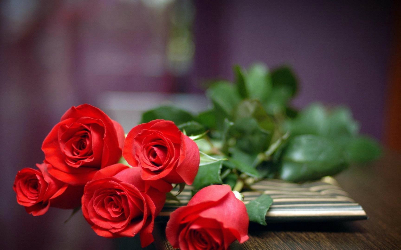 Red Roses Hd Wallpapers