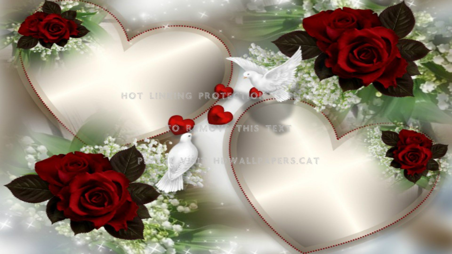 Red Roses Hd Wallpapers