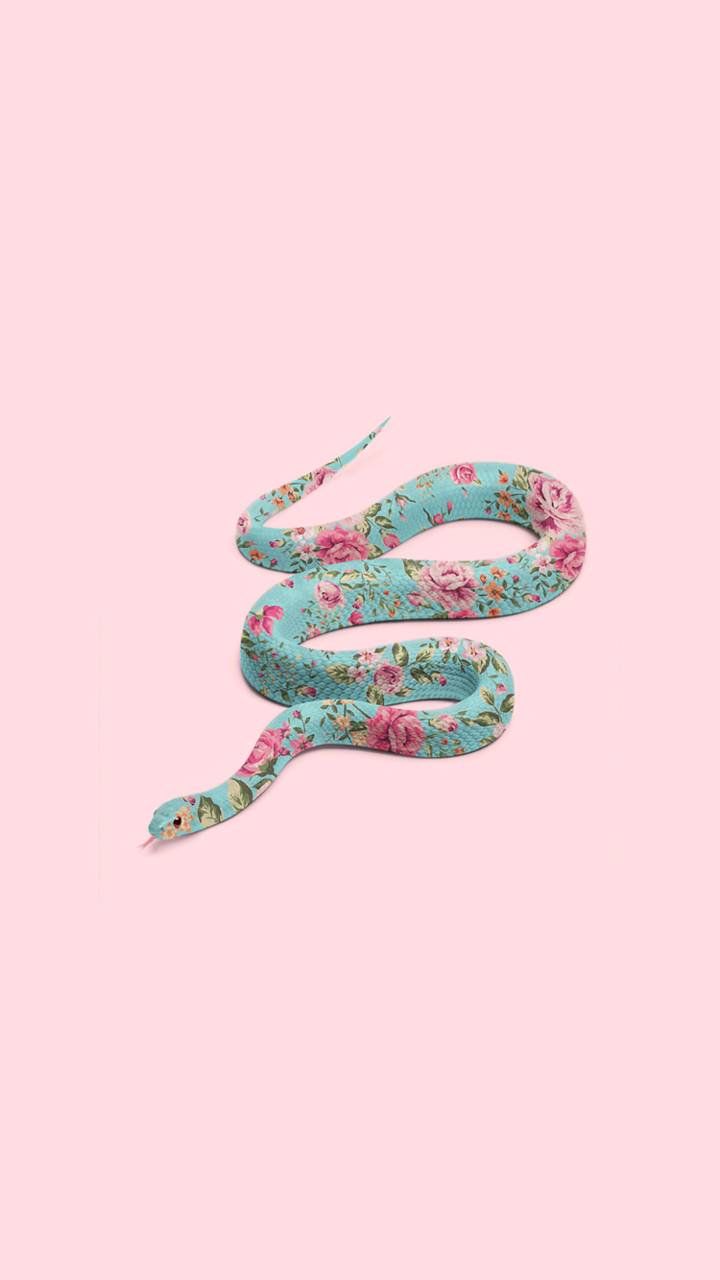 Red Snake Aesthetics Wallpapers