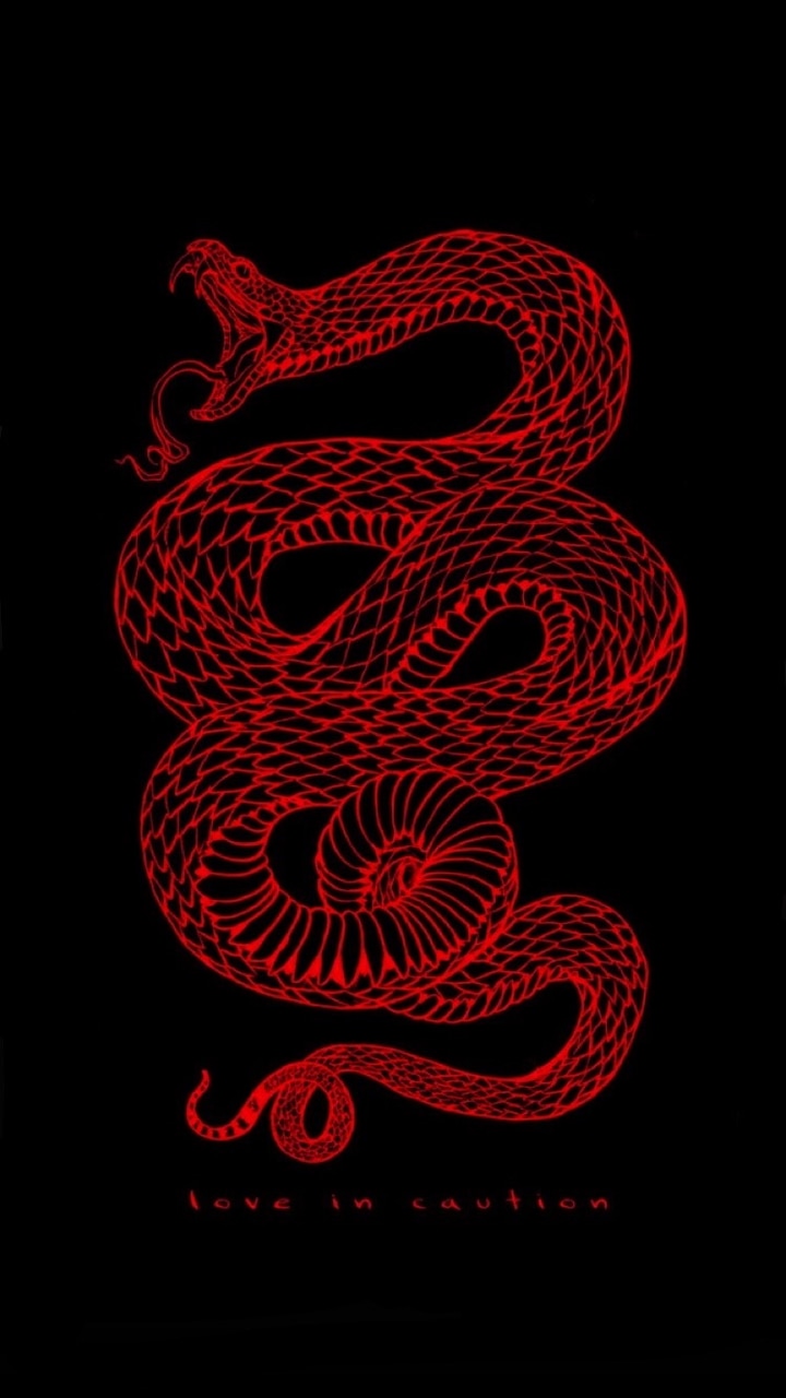 Red Snake Wallpapers