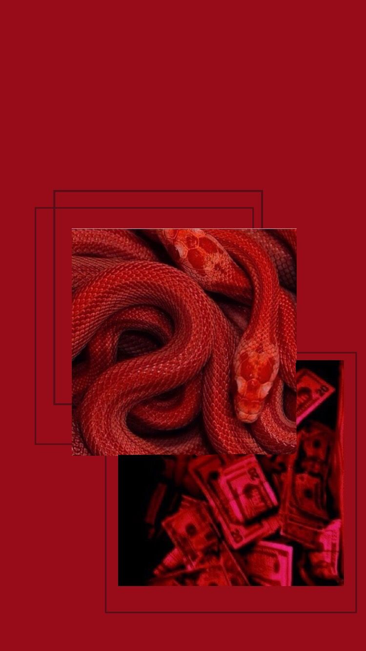 Red Snake Wallpapers