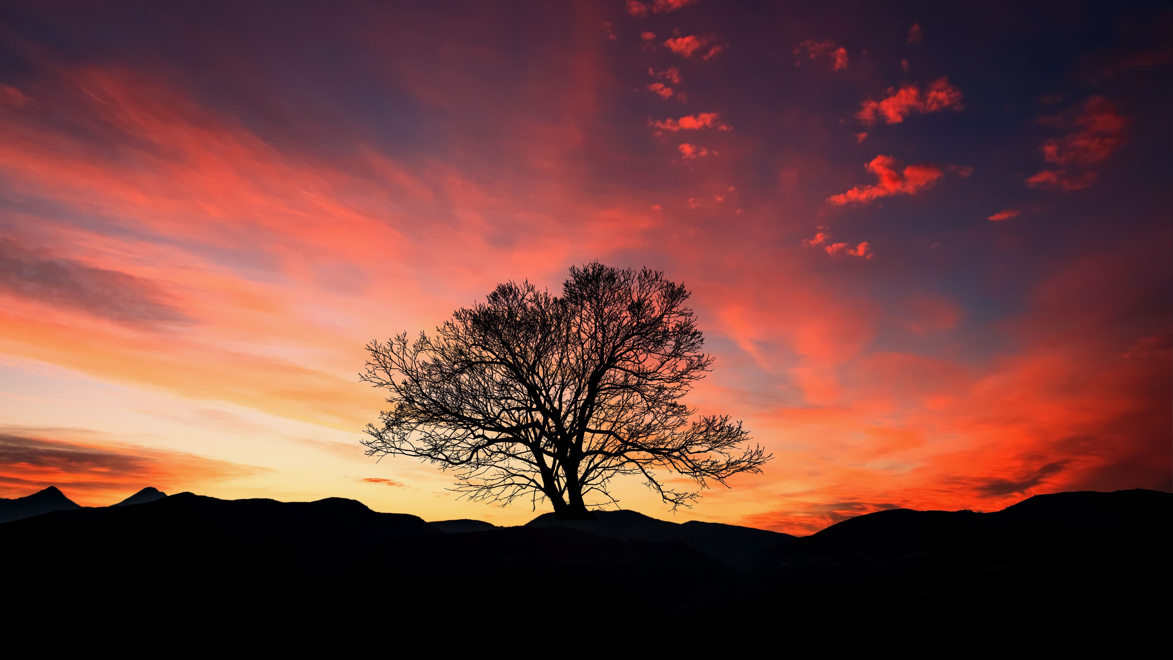 Red Sunset Skyline And Trees Wallpapers