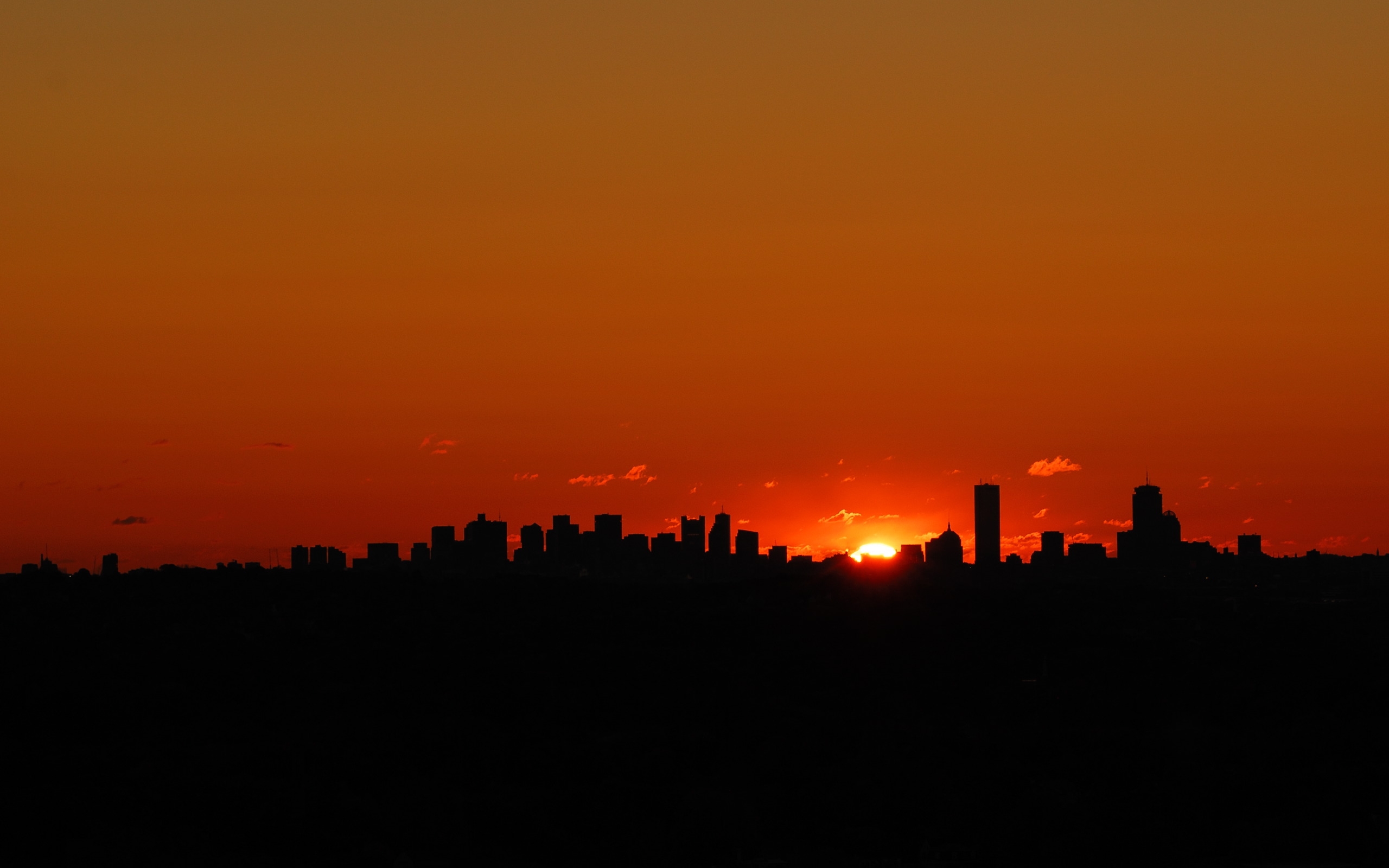 Red Sunset Skyline And Trees Wallpapers