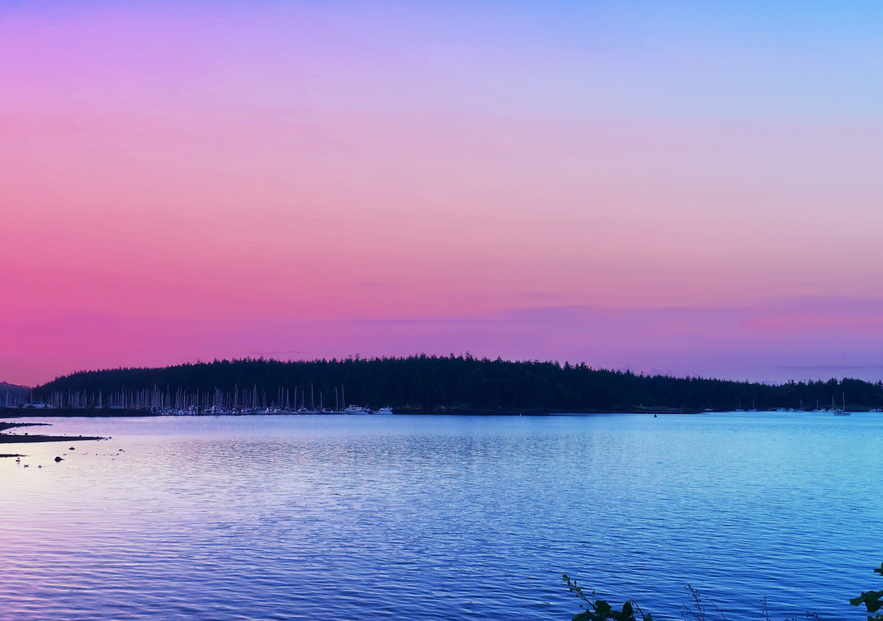 Red Sunset Skyline And Trees Wallpapers