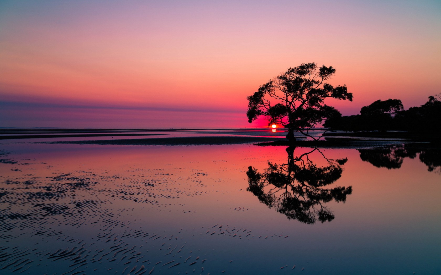 Red Sunset Skyline And Trees Wallpapers