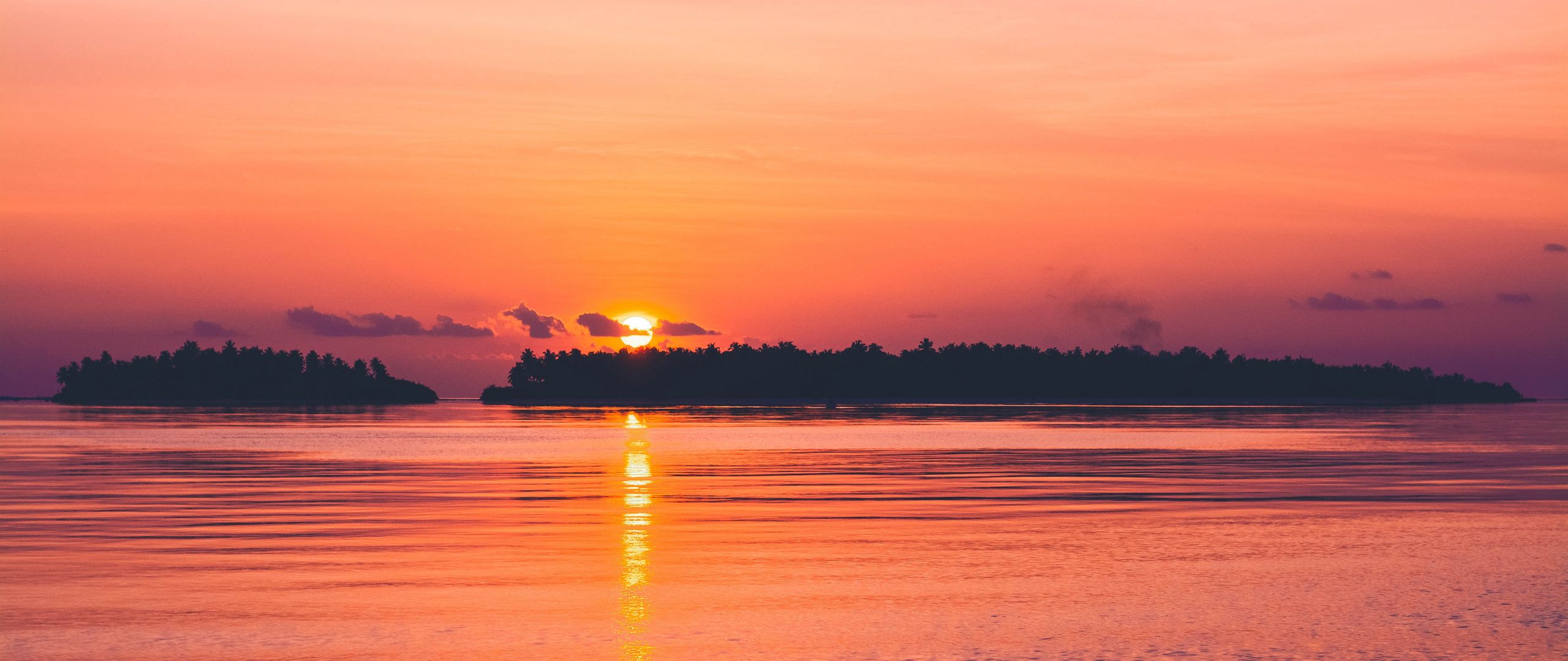 Red Sunset Skyline And Trees Wallpapers