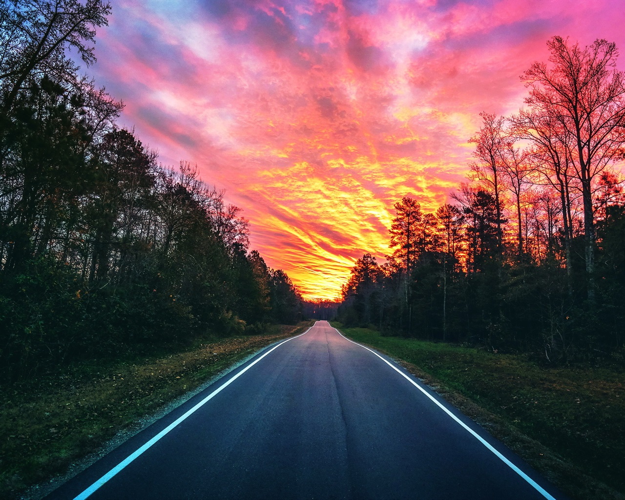 Red Sunset Skyline And Trees Wallpapers