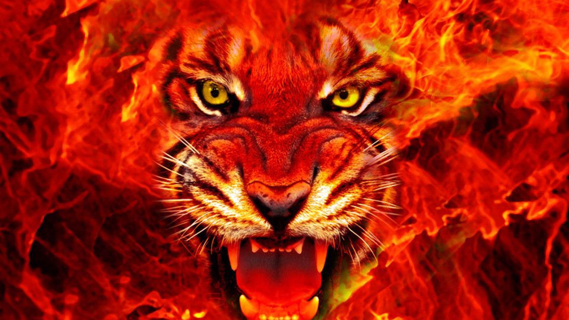 Red Tiger Wallpapers