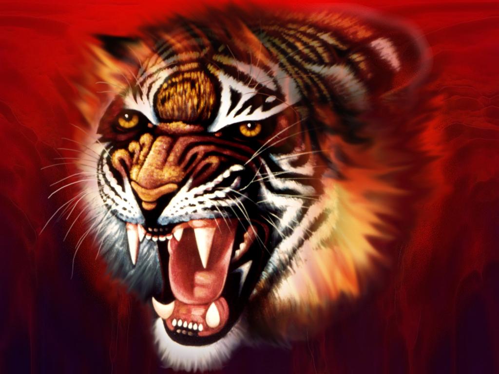 Red Tiger Wallpapers