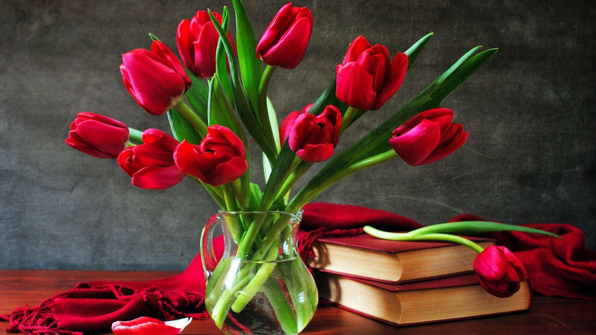 Red Tulips Wallpapers