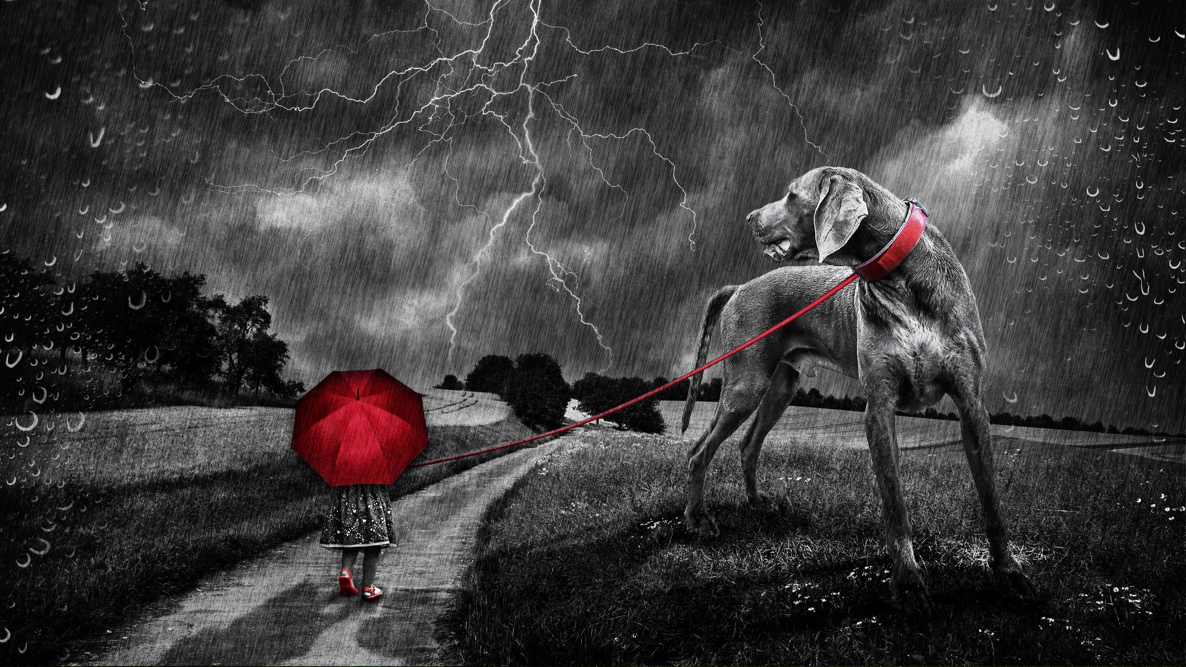 Red Umbrella Painting Wallpapers