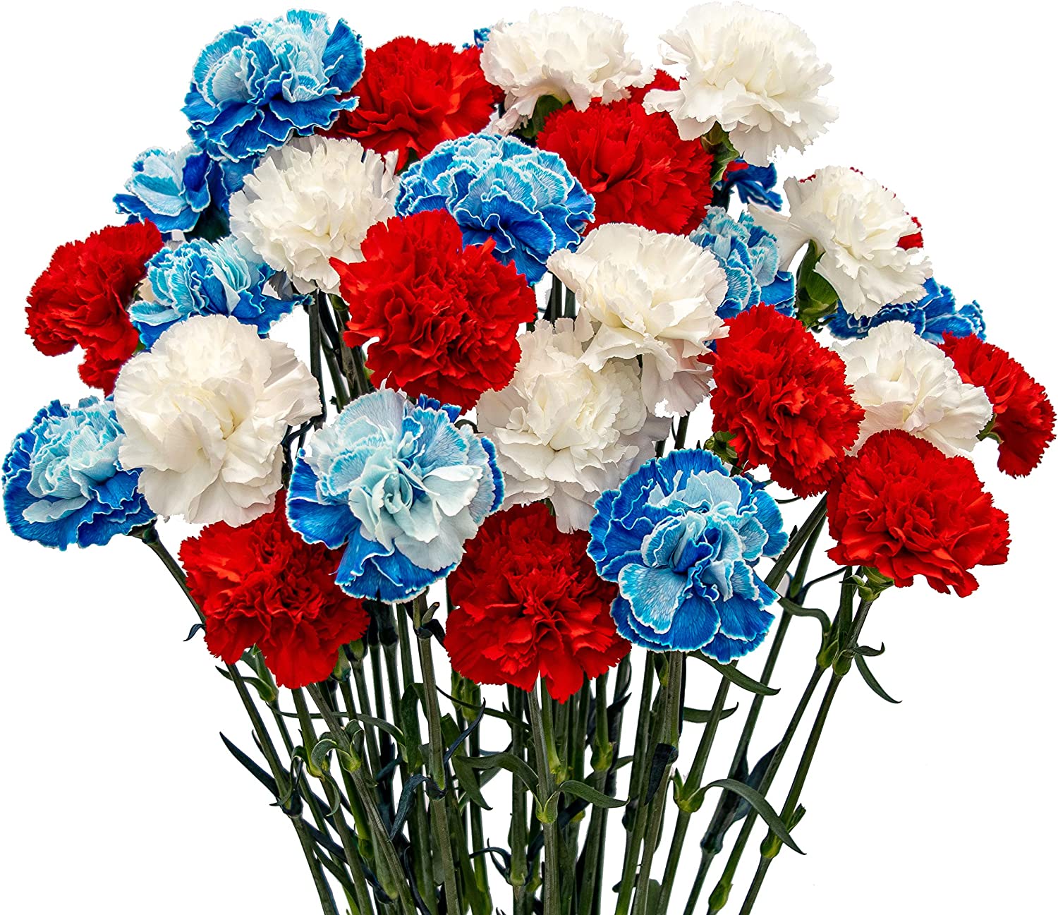 Red White And Blue Flowers Wallpapers