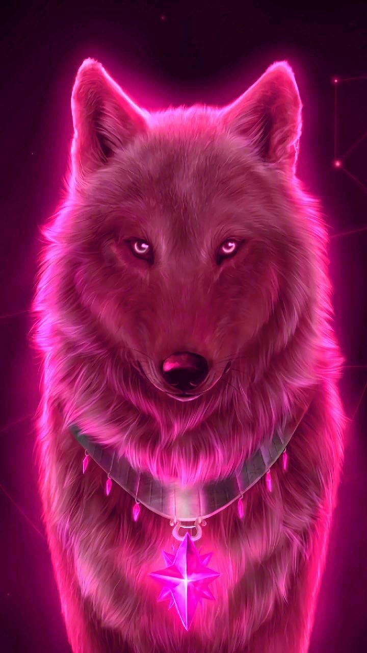 Red Wolf Wallpapers