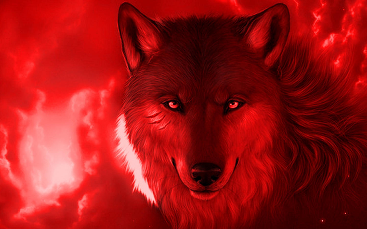 Red Wolf Wallpapers