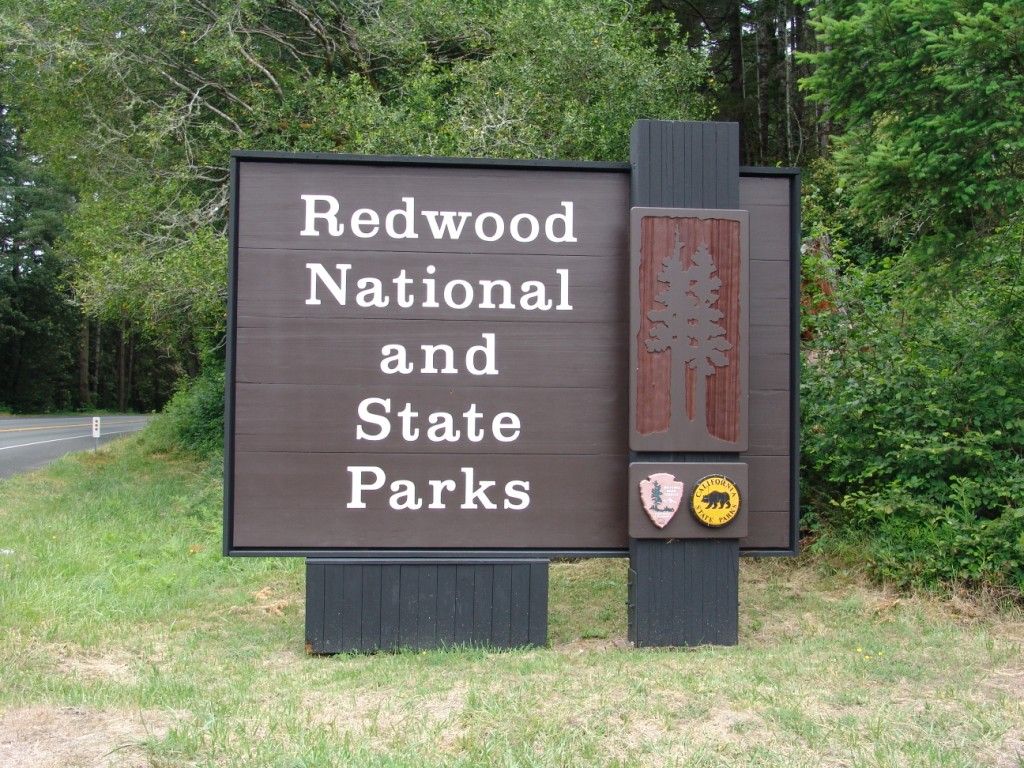 Redwood National And State Parks Wallpapers