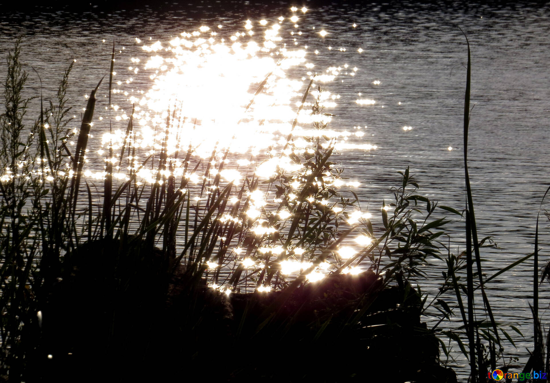 Reflection Of Sunset On Water Wallpapers