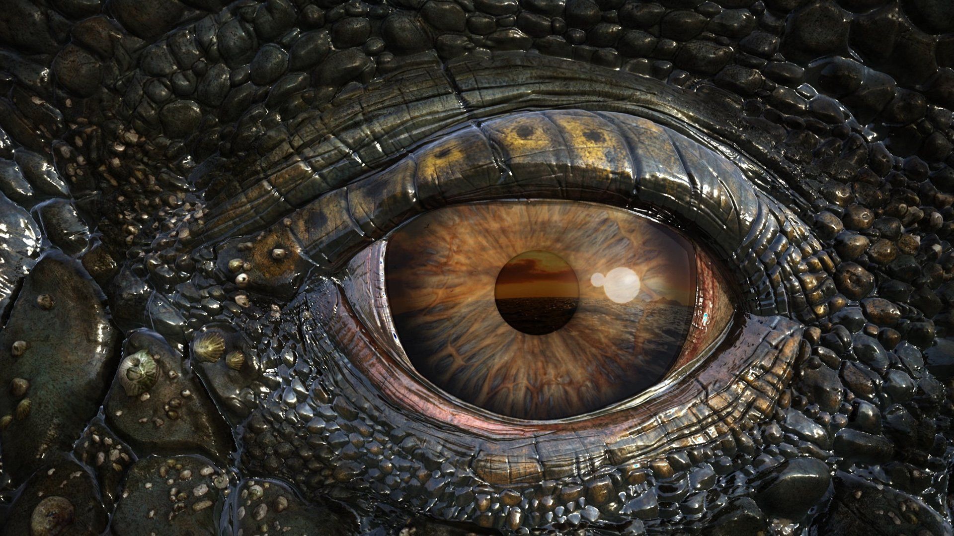 Reptile Eye Texture Wallpapers