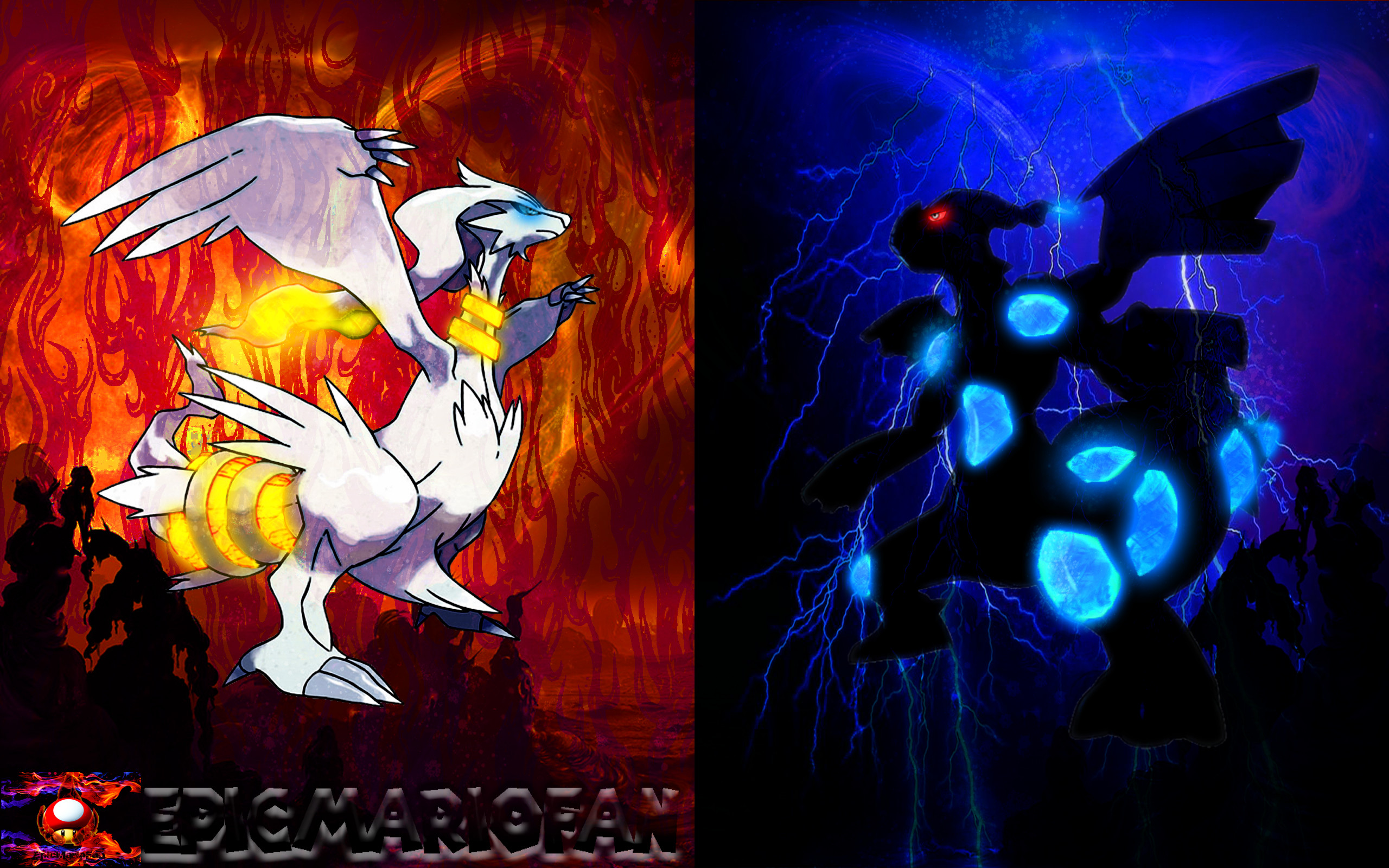 Reshiram And Zekrom Wallpapers