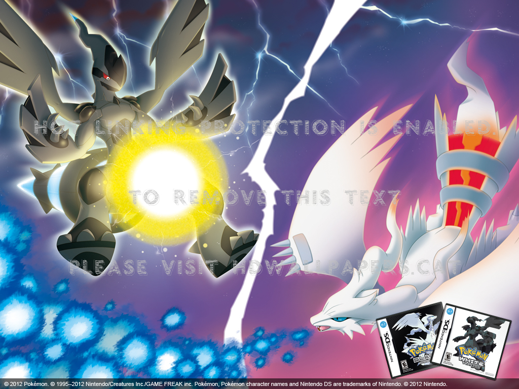 Reshiram And Zekrom Wallpapers