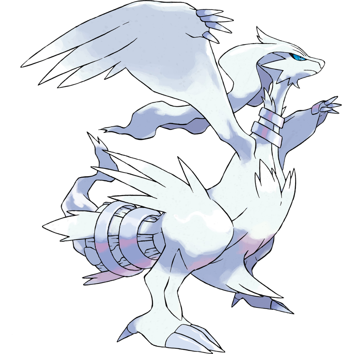 Reshiram Background