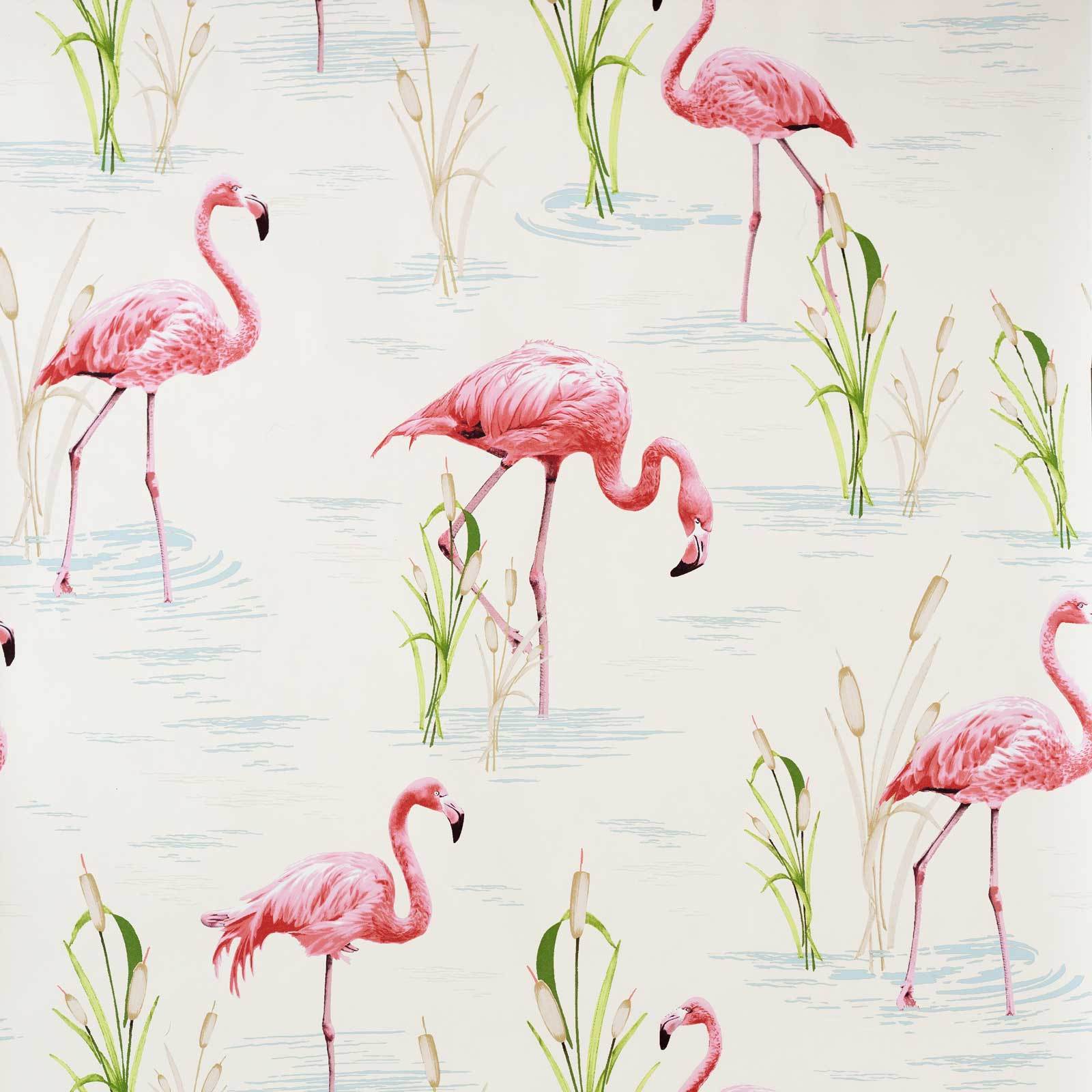 Retro Flamingo Wallpapers