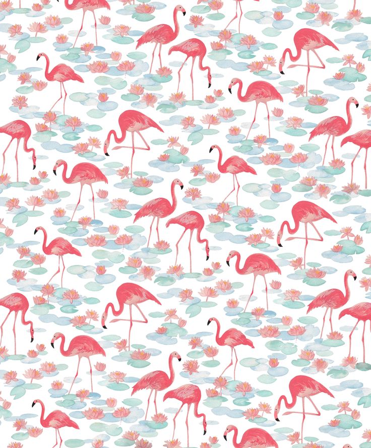 Retro Flamingo Wallpapers