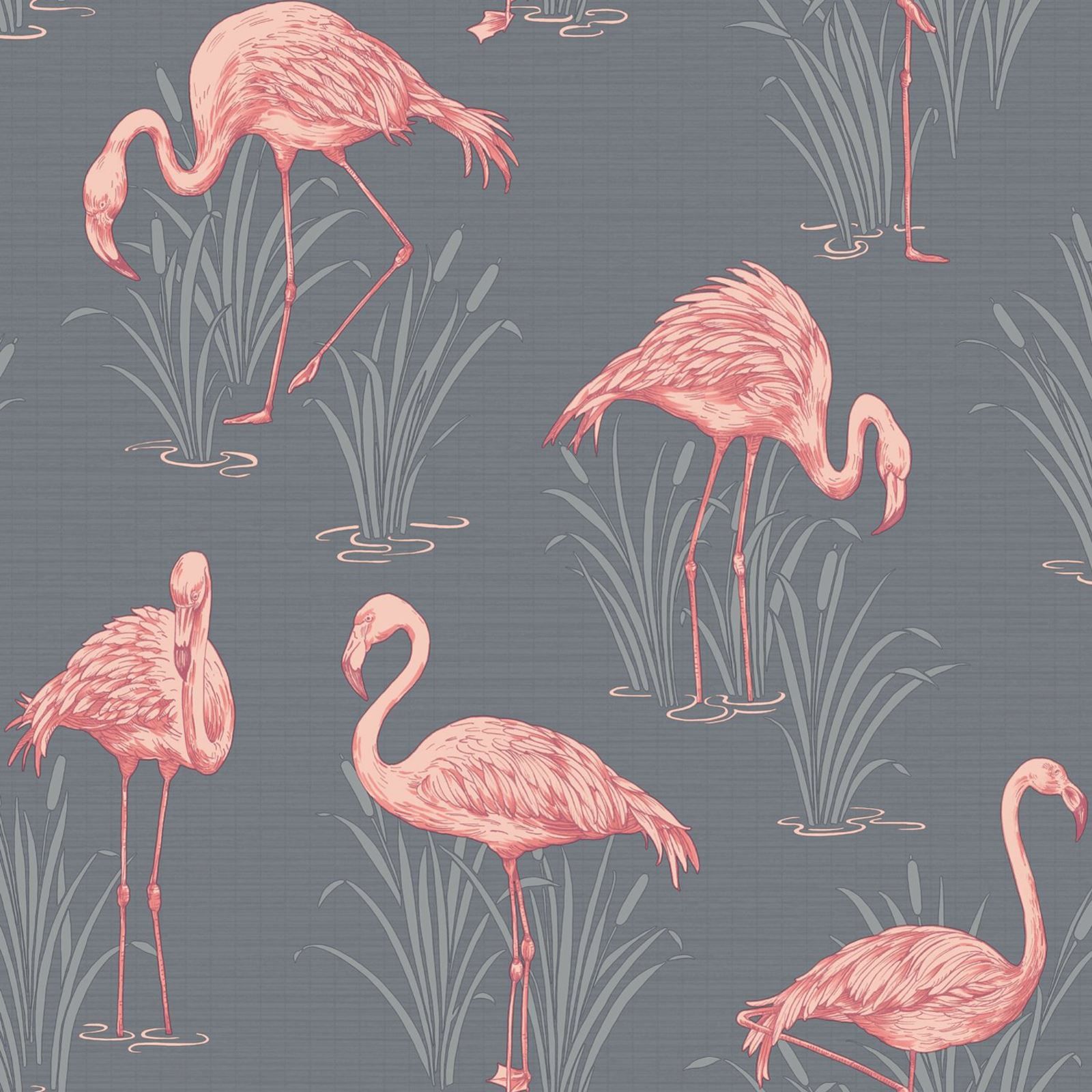 Retro Flamingo Wallpapers