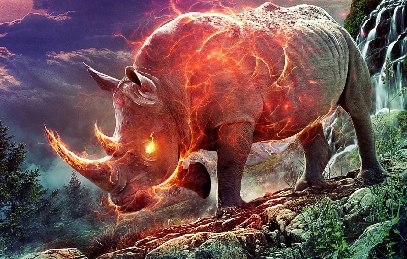 Rhino Wallpapers