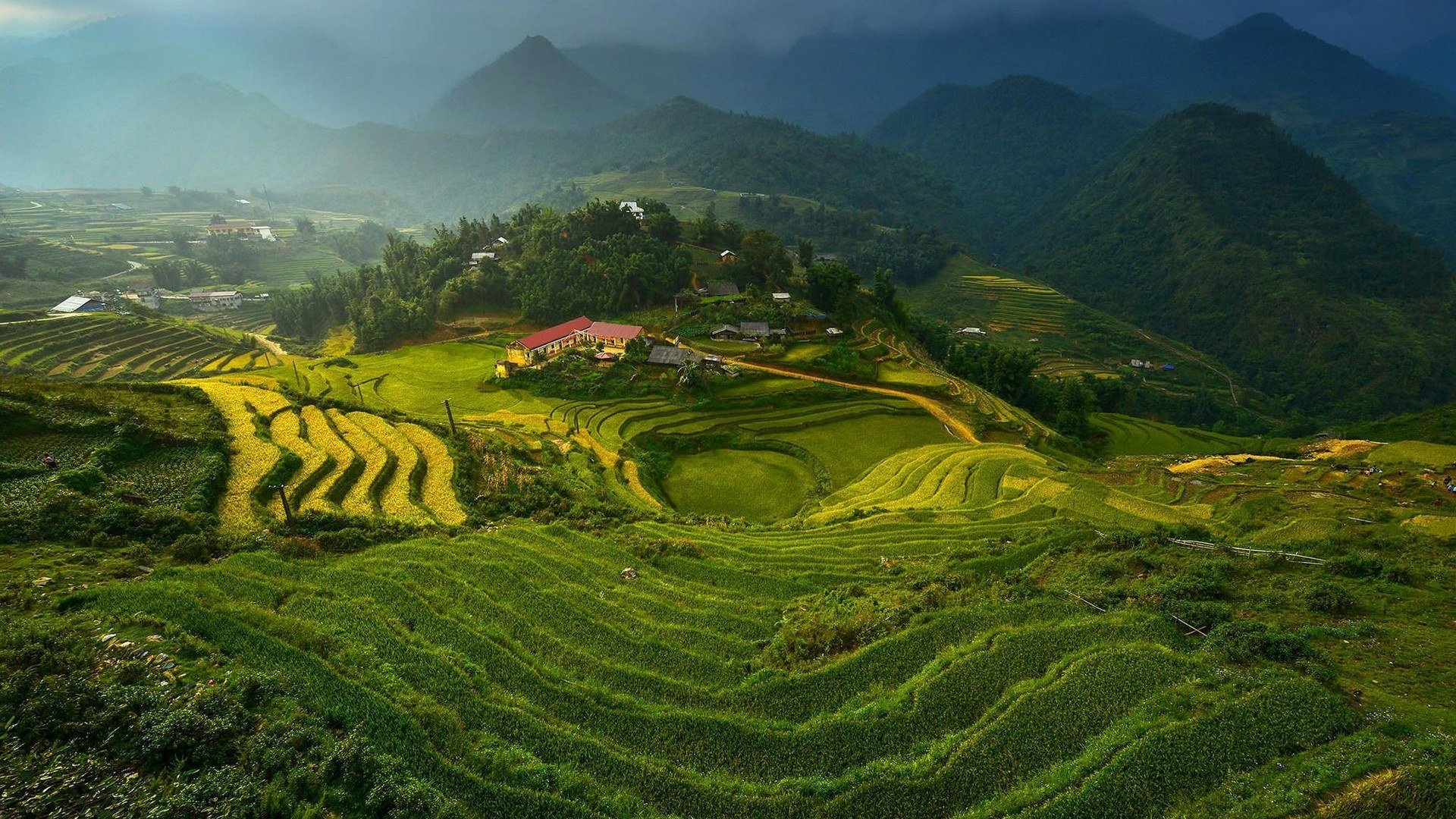 Rice Terrace Cool Wallpapers