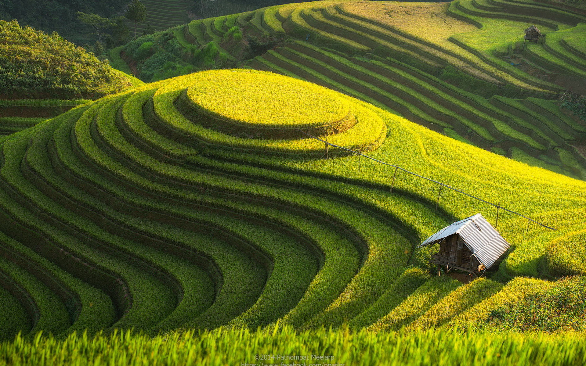 Rice Terrace New 4K Wallpapers