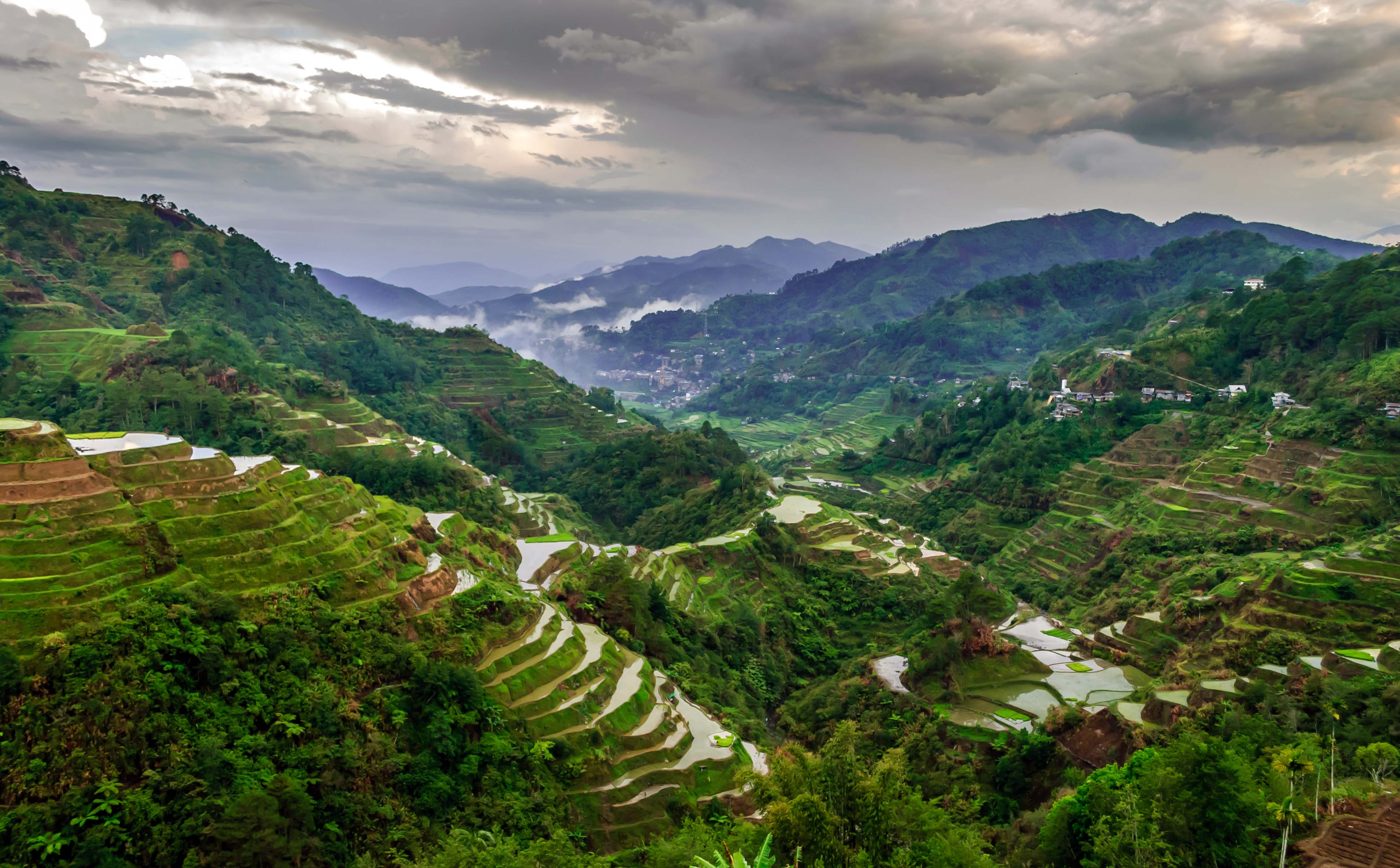 Rice Terrace New 4K Wallpapers