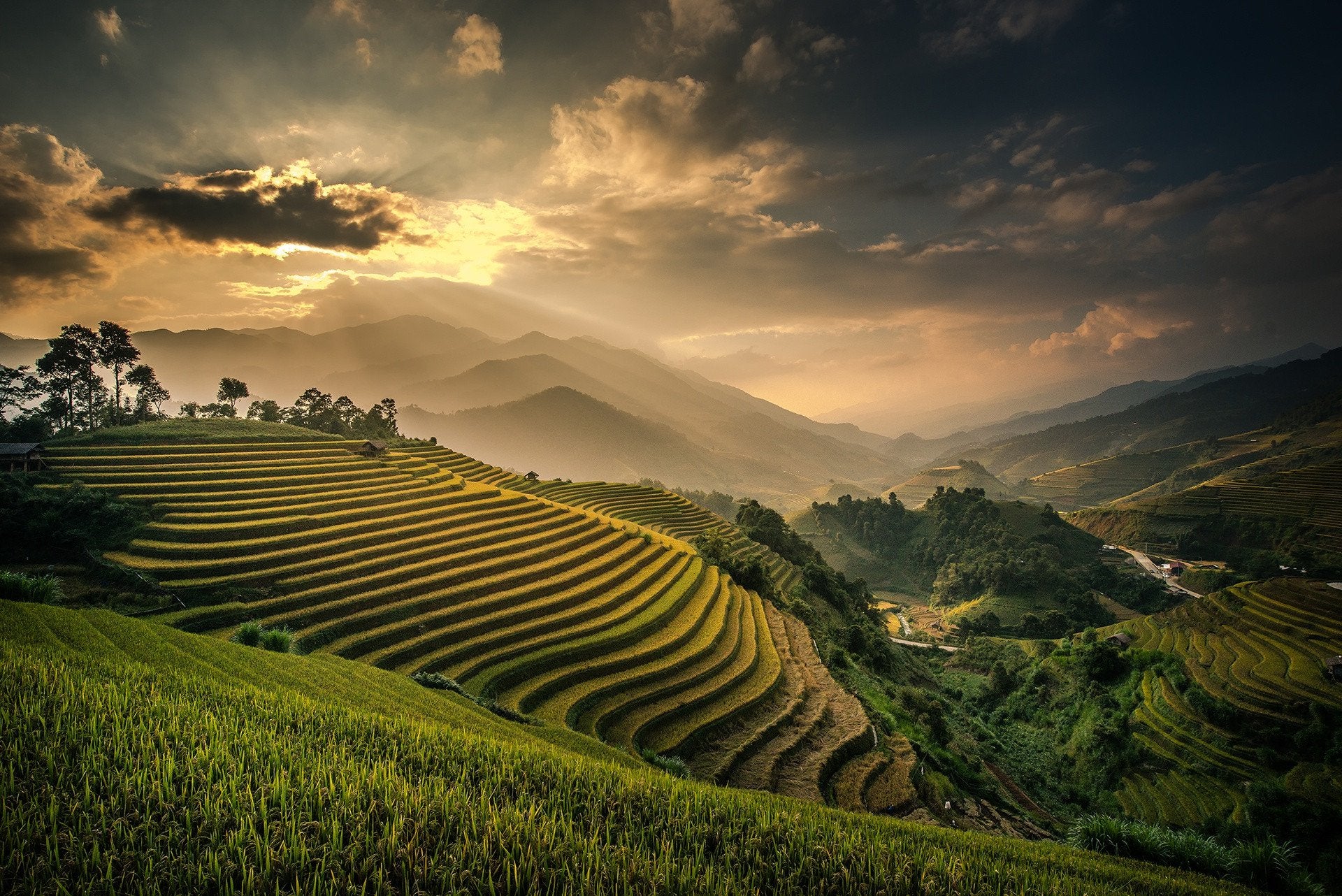 Rice Terrace New 4K Wallpapers